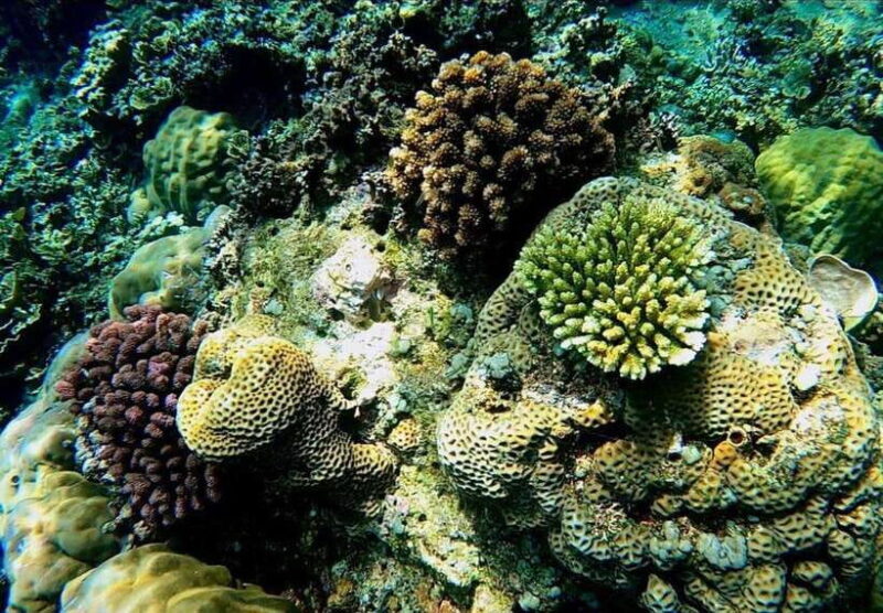 Bali/Amed: Underwater Temple Snorkeling Experience - Practical Details: What You Need to Know