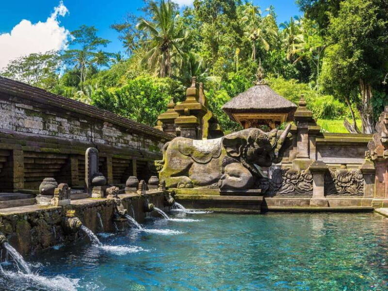 Bali: Ancient Wonders of Temple Discovery Tour - What Previous Travelers Say
