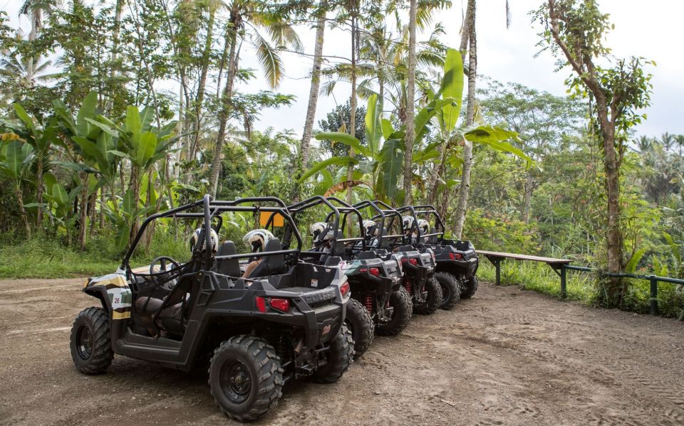 Bali: ATV Mason Jungle Buggy Adventure With Lunch & Transfer - Track Specifications