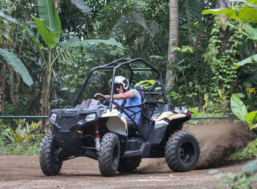 Bali: ATV Mason Jungle Buggy Adventure With Lunch & Transfer - Pickup Locations and Times