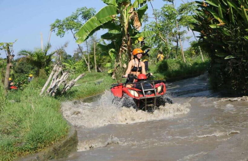 Bali ATV Quad Bike Adventure: Thrilling Off-Road Experience - An In-Depth Look at the Bali ATV Experience