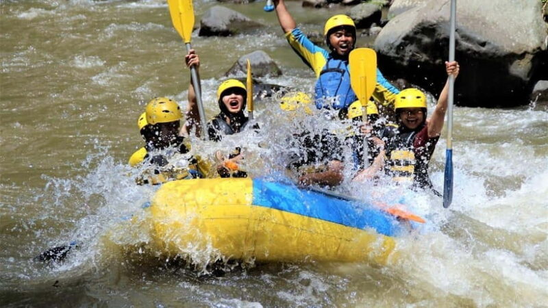 Bali ATV Quad Bike with Ubud Rafting Combination Tour - Who Would Love This Tour?