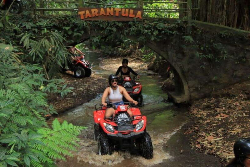 Bali: ATV, Rafting, and Swing Adventure with Lunch - The Itinerary: What to Expect on a Typical Day