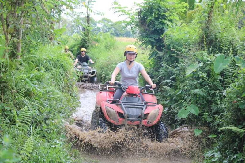 Bali: ATV Ride Adventure Tour with Challenging Terrain - The Experience: What Youll See and Feel