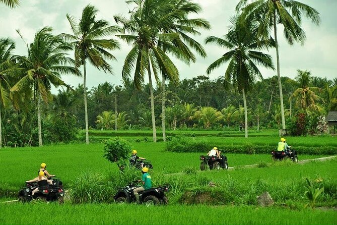 Bali ATV Ride Ubud Waterfall Jungle and Ricefield Track 2 Hour - Overview of the ATV Experience