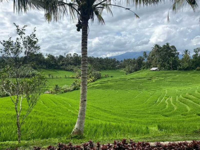 Bali : Authentic Balinese Local Life Tour - Final Thoughts: Who Will Love This Tour?