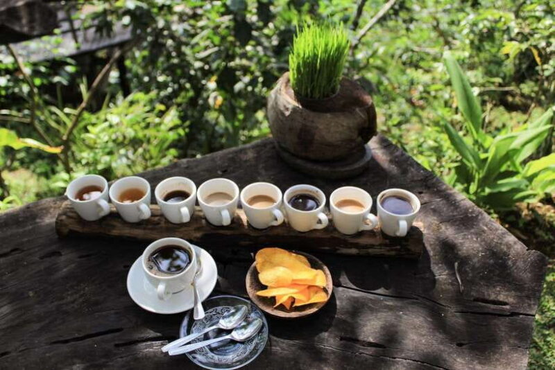 Bali: Authentic Culinary Street Food Experience Tour - Key Points