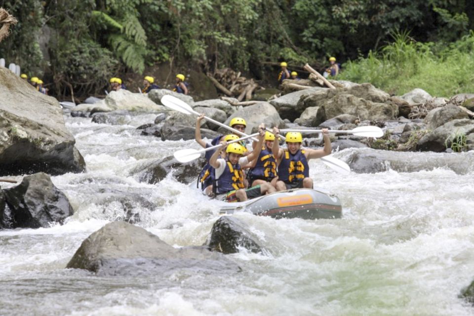 Bali: Ayung River Premium White Water Rafting With Lunch - River and Rapid Details