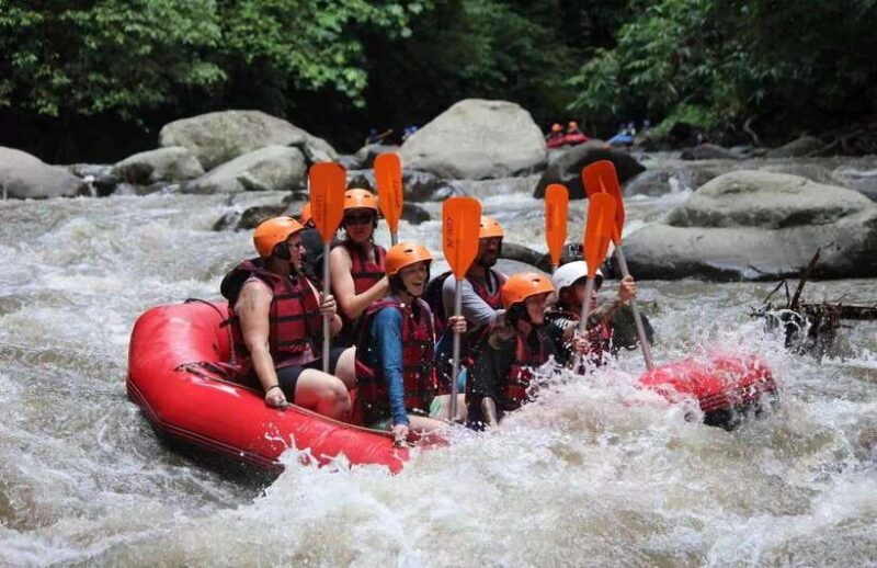 Bali: Ayung River Rafting with Buffet Lunch and Hotel Pickup - Key Points