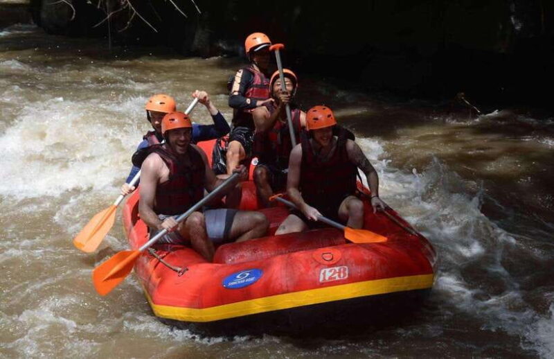 Bali: Ayung River Rafting with Buffet Lunch and Hotel Pickup - Who Should Consider This Tour?