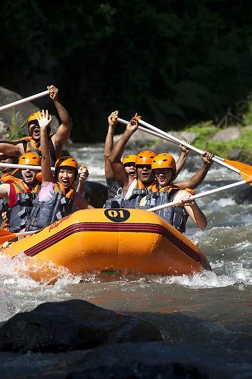 Bali : Ayung River Rafting With Kintamani Volcano Tour - Good To Know