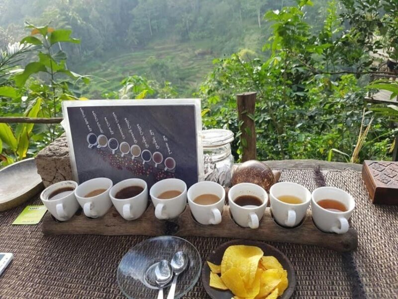 Bali : Ayung River Rafting With Kintamani Volcano Tour - Pickup and Drop-off Locations