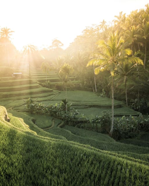 Bali : Ayung River Rafting With Kintamani Volcano Tour - Kintamani Volcano Sightseeing