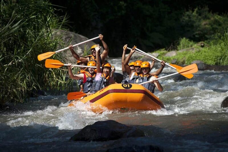 Bali : Ayung River Rafting With Kintamani Volcano Tour - Tegallalang Rice Terrace Stop