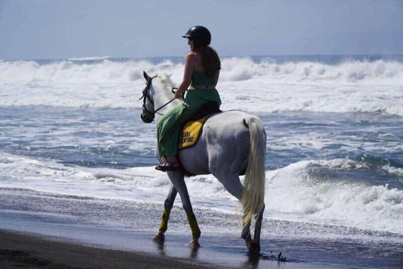 Bali: Bali Beach Horse Riding Experience - Key Points