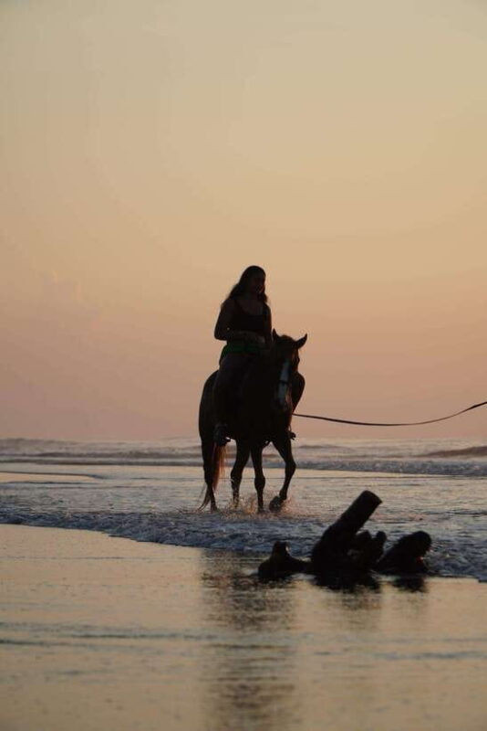 Bali: Bali Beach Horse Riding Experience - Introduction to Bali Beach Horse Riding Experience