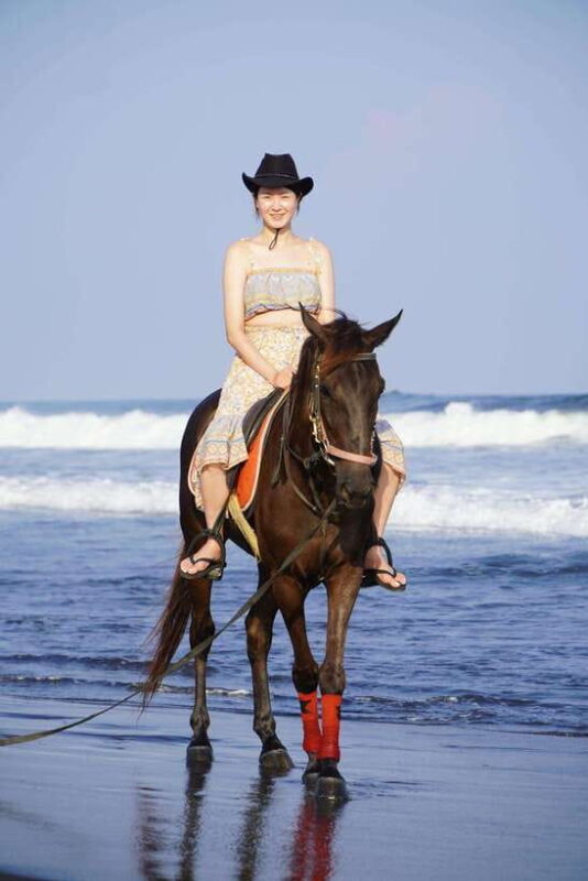Bali: Bali Beach Horse Riding Experience - Who Should Consider This Tour?