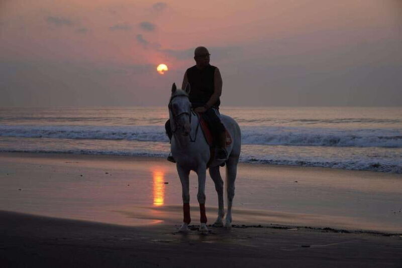 Bali: Bali Beach Horse Riding Experience - The Sum Up