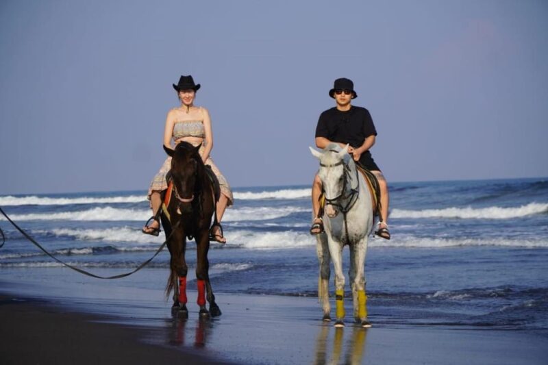 Bali: Bali Beach Horse Riding Experience - Cancellation and Payment