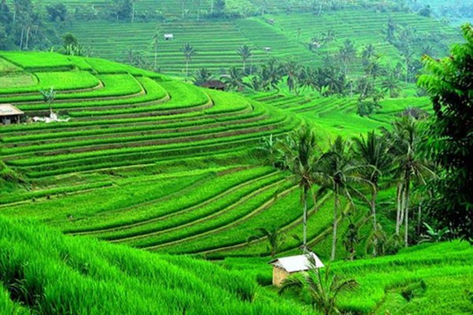 Bali: Banyumala Waterfall, UNESCO World Heritage, Temple - Ulun Danu Bratan Temple