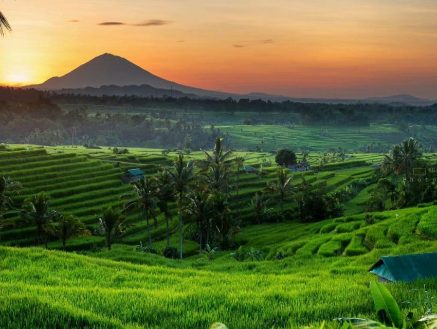 Bali: Banyumala Waterfall, UNESCO World Heritage, Temple - Banyumala Waterfalls
