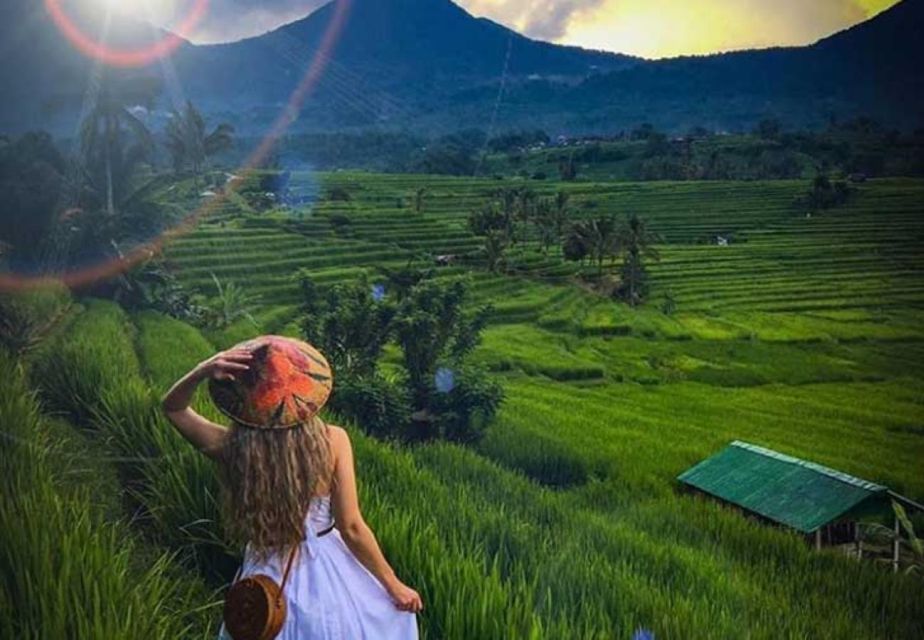 Bali: Banyumala Waterfall, UNESCO World Heritage, Temple - Pricing and Booking