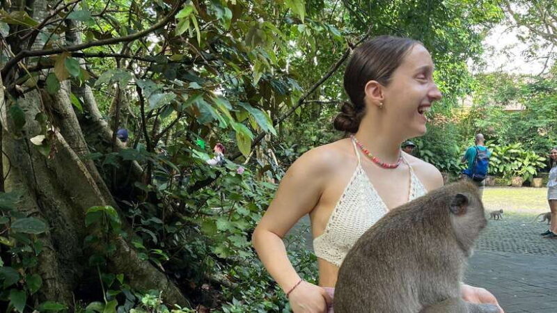 Bali: Batuan temple, Monkey Forest, Kato Lampo waterfall - Final Thoughts: The Real Deal for a Bali Intro