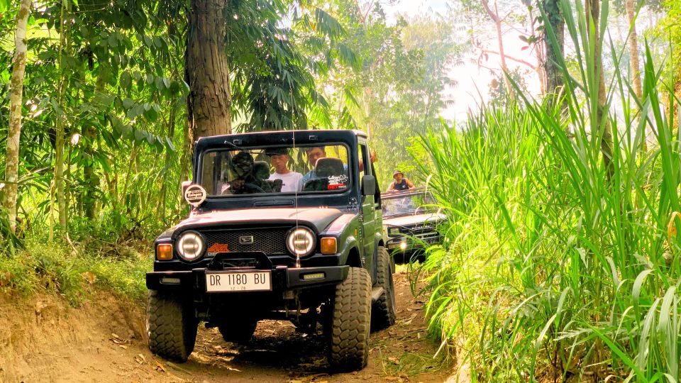 Bali: Batur Sunrise 4x4 Jeep Tour & Hot Springs - Key Points