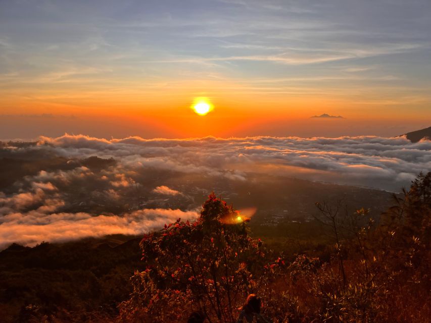 Bali: Batur Sunrise Jeep & Hot Springs Guided Tour - Segara Windhu Coffee Plantation
