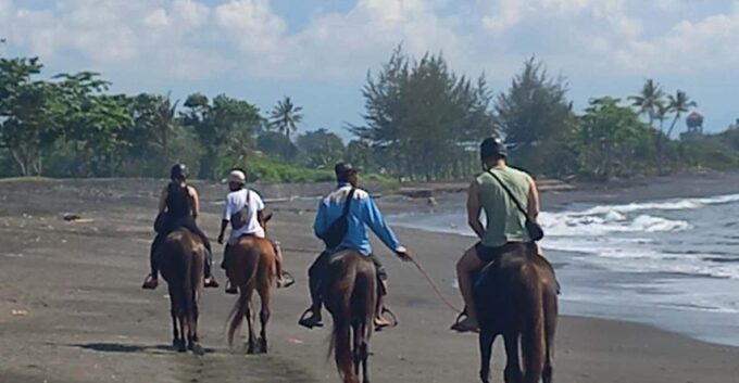 Bali : Beach Horse Riding Experience & Hidden Waterfall - Booking and Cancellation Policy