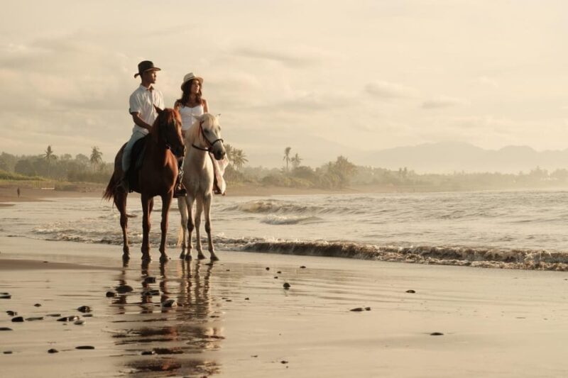 Bali : Beach Horse Riding & Photoshoot - Itinerary and Logistics