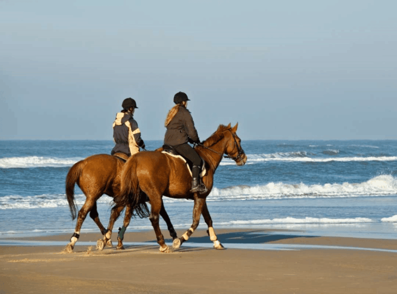 Bali : Beach Horse Riding & Photoshoot - Experience Highlights