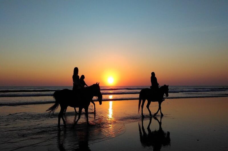 Bali : Beach Horse Riding & Photoshoot - Preparation and Recommendations