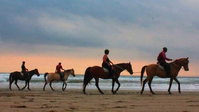 Bali : Beach Horse Riding & Photoshoot - Pickup and Drop-off Services