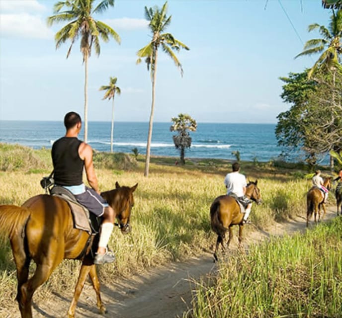 Bali: Beach Horse Riding - Good To Know