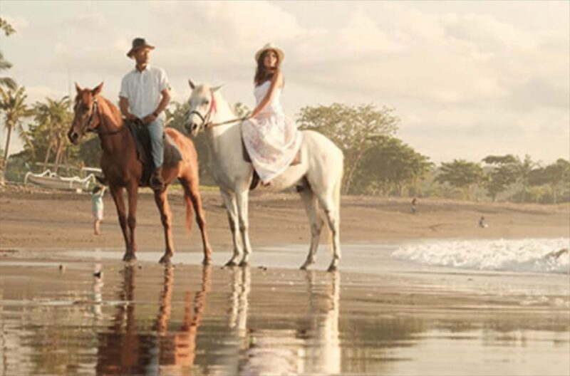 Bali: Beach Horse Riding - Booking and Reservation