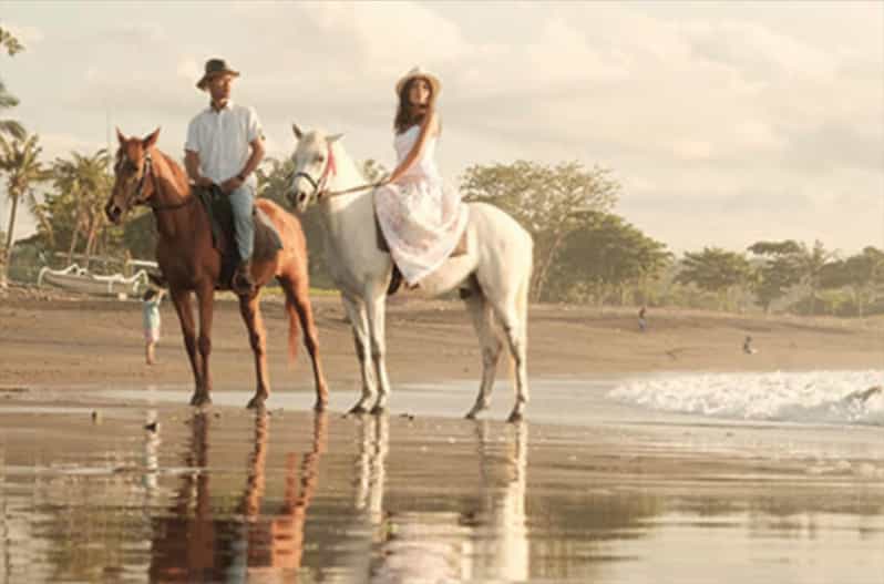 Bali: Beach Horse Riding - Experience Highlights