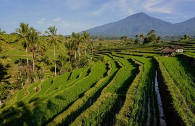 Bali: Bedugul, Jatiluwih, Taman Ayun, Tanah Lot Private Tour - Bedugul Temple