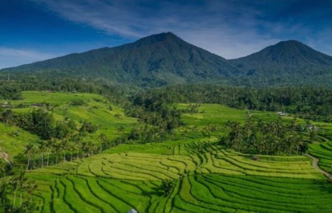Bali: Bedugul, Jatiluwih, Taman Ayun, Tanah Lot Private Tour - Frequently Asked Questions