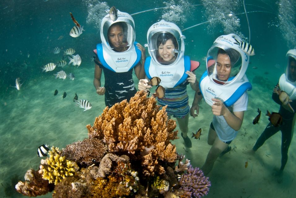 Bali Benoa: Lembongan Reef & Water Activities Day Cruise - Transportation and Departure Times