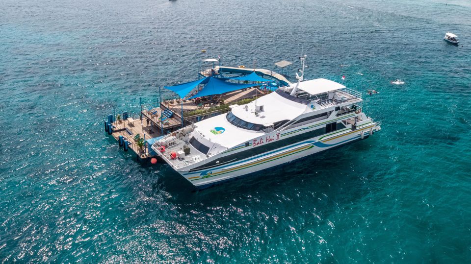 Bali Benoa: Lembongan Reef & Water Activities Day Cruise - Additional Diving Options