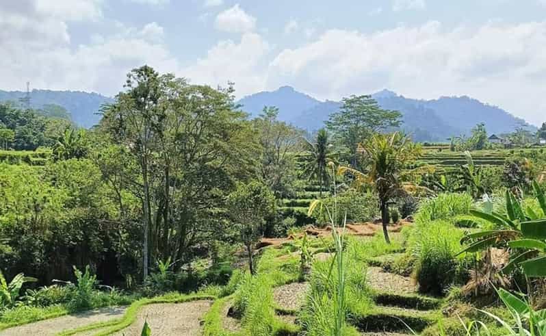 Bali: Besakih Temple and Sidemen Tour - Good To Know