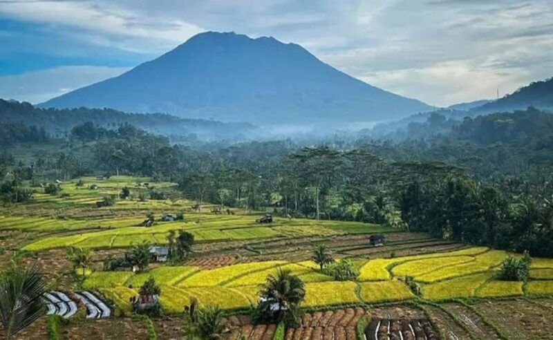 Bali: Besakih Temple and Sidemen Tour - Penglipuran Village