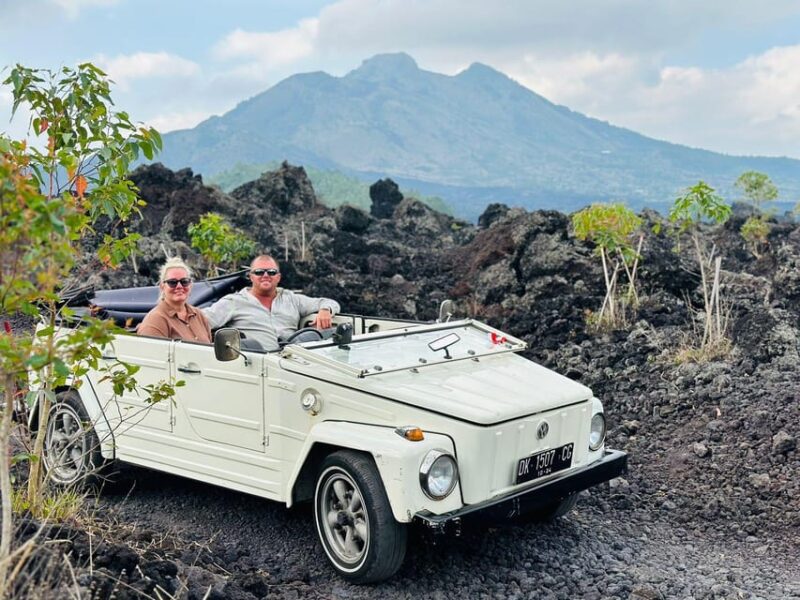 Bali Best Experience VW Tour And Choose Your Destination - Services and Inclusions