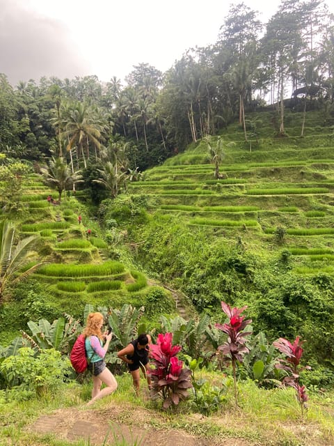 Bali Best of Ubud Surounding Tour With Barong & Keris Dance - Tegalalang Rice Terrace Exploration