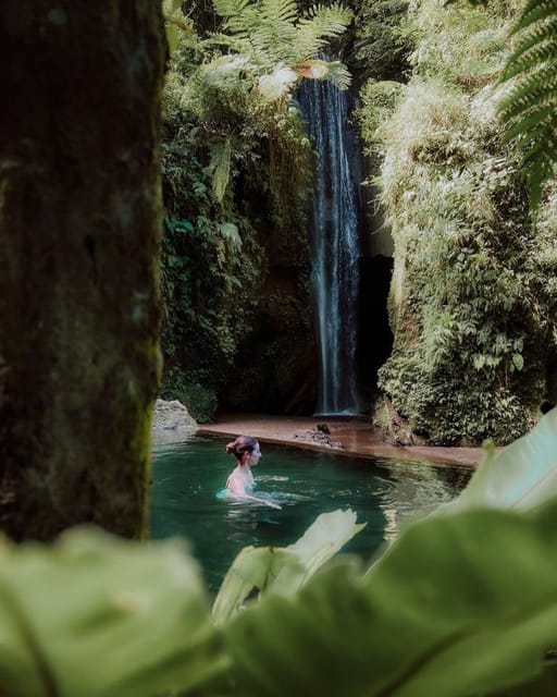 Bali: Best of Ubud Three Waterfall Tour - Coffee Plantation Visit