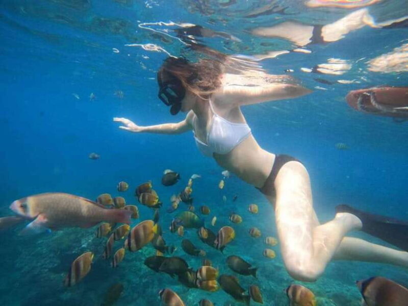 Bali : Best Trip of Nusapenida Island in one day - Practical Considerations