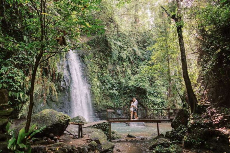 Bali: Best Waterfalls & Rice Terrace with Private Transfers - Authentic Experiences and Practical Tips