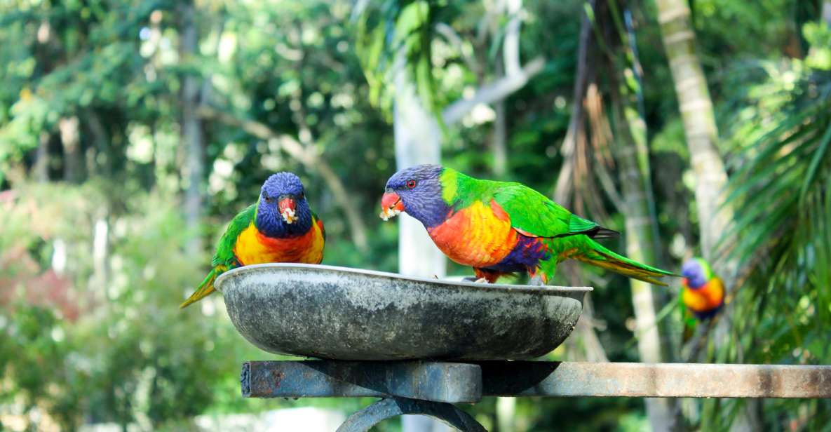Bali Bird Park: 1-Day Admission Ticket - Highlights of the Park