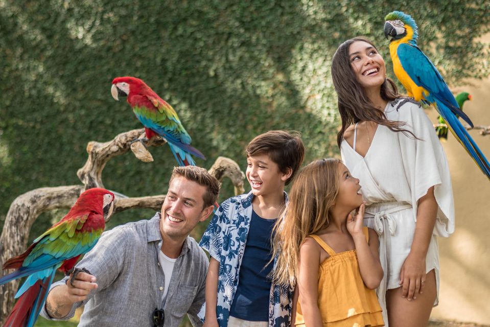Bali Bird Park 1-Day Admission Ticket - Highlights of the Park